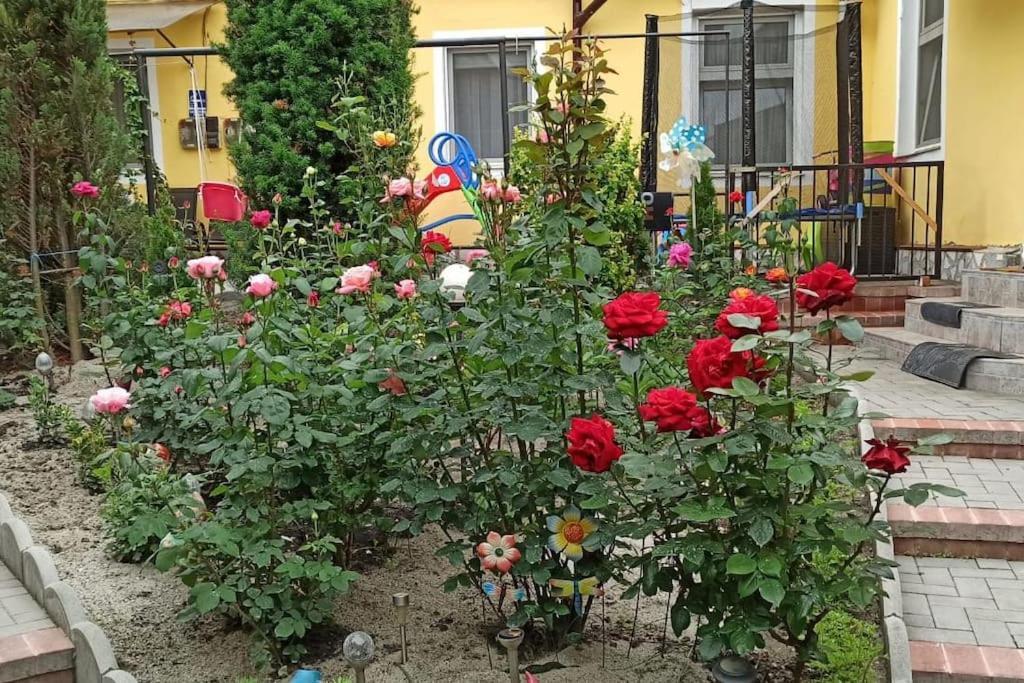 Color Home Hermannstadt 1 Exterior photo