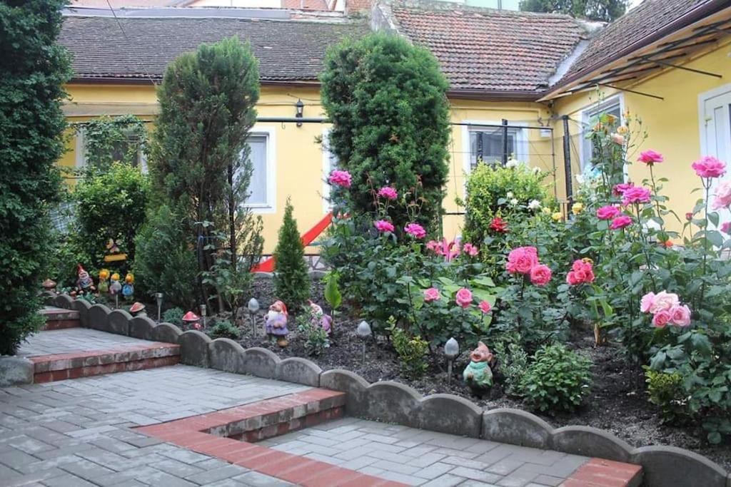 Color Home Hermannstadt 1 Exterior photo